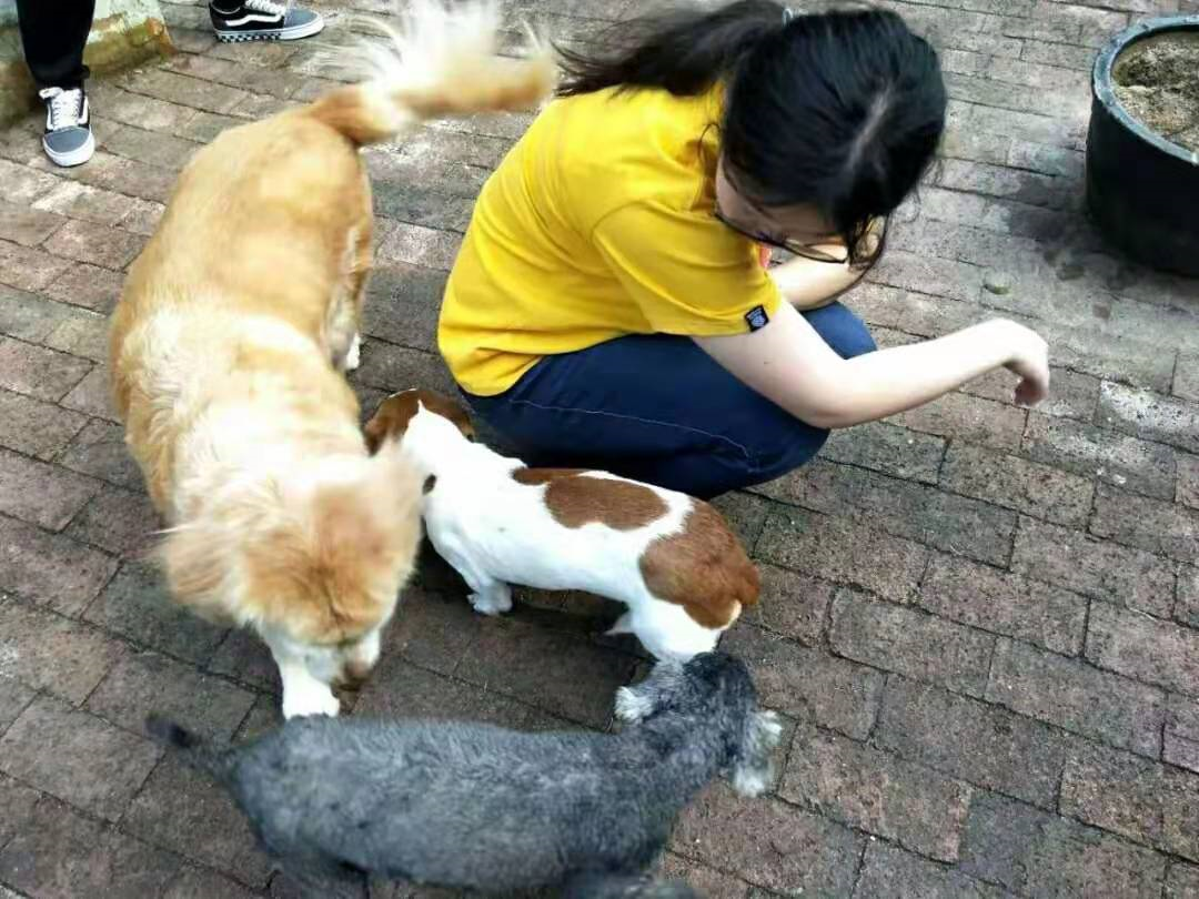 image-20230119130255-17