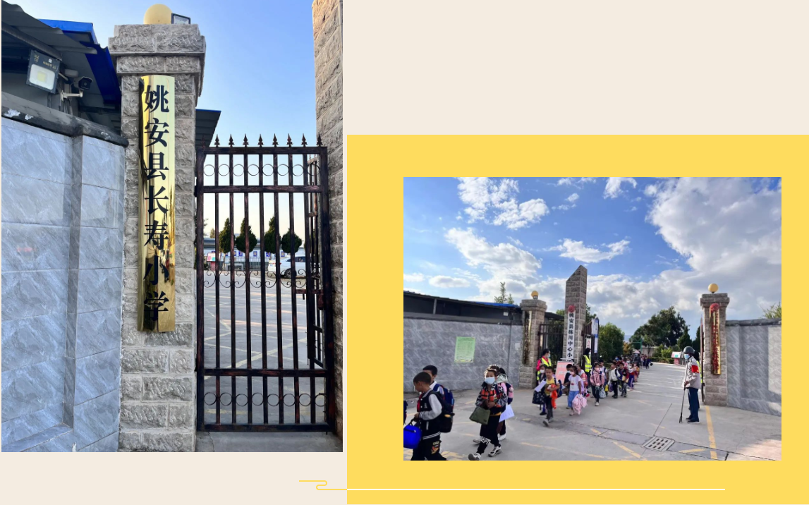 image-20230119203257-1