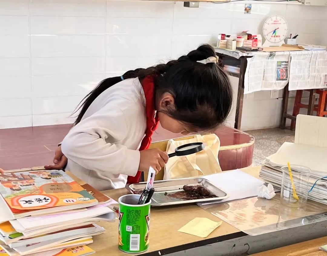 image-20230119203418-2