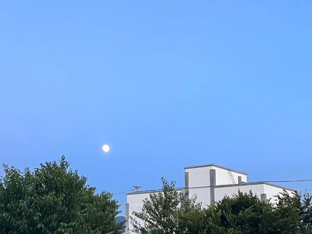 image-20230119203458-3