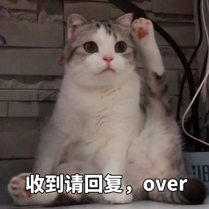 image-20230119232114-6