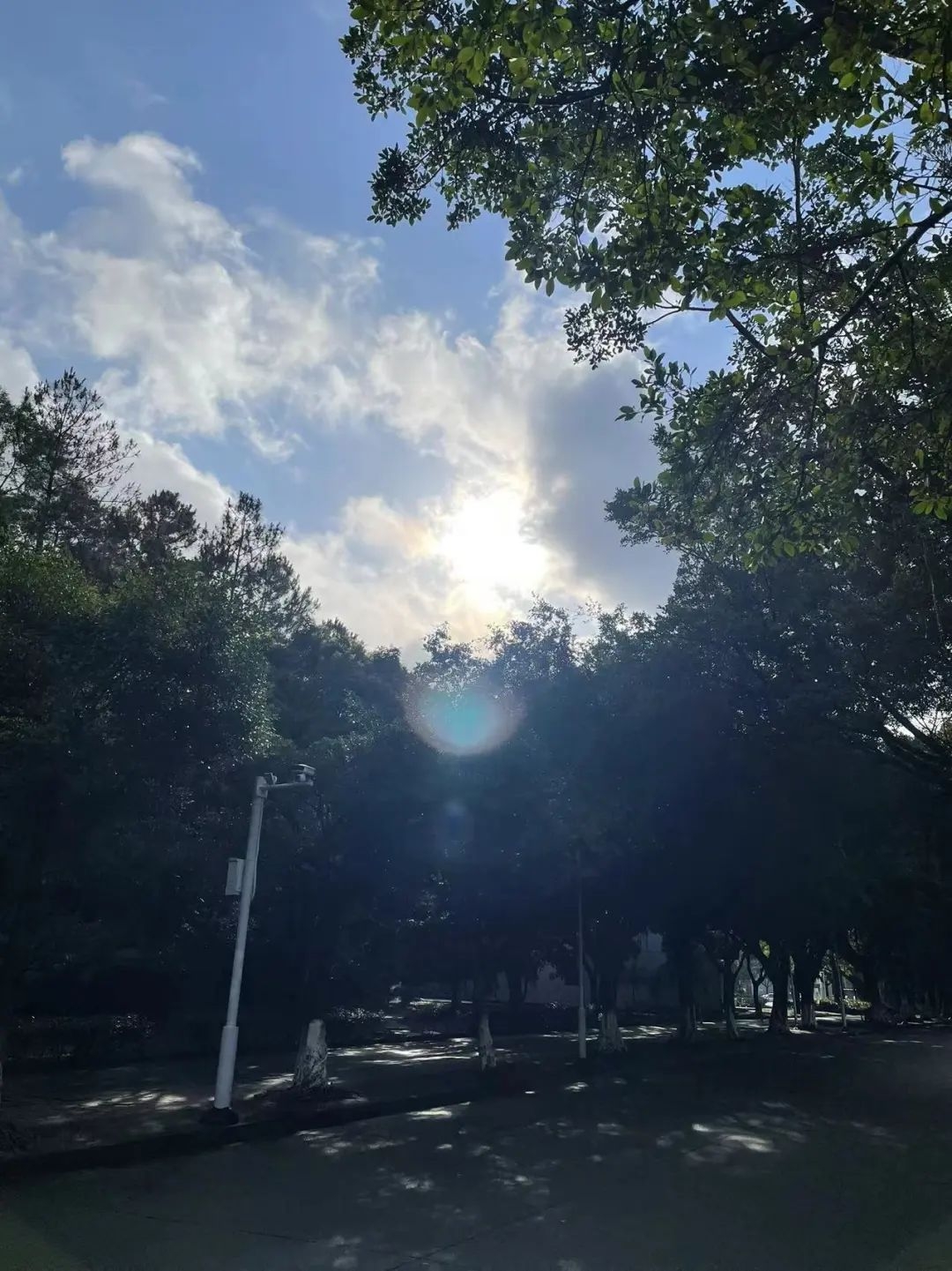 image-20230120133104-3