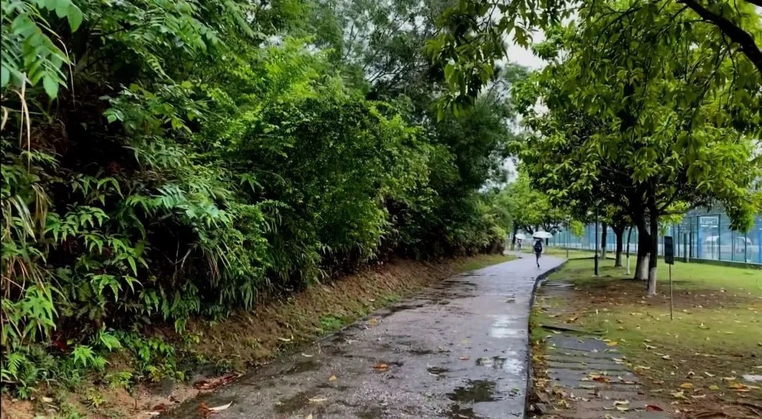 image-20230120133522-14