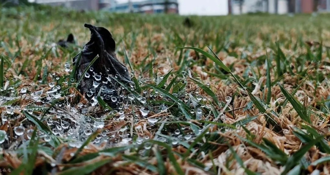 image-20230120133538-15