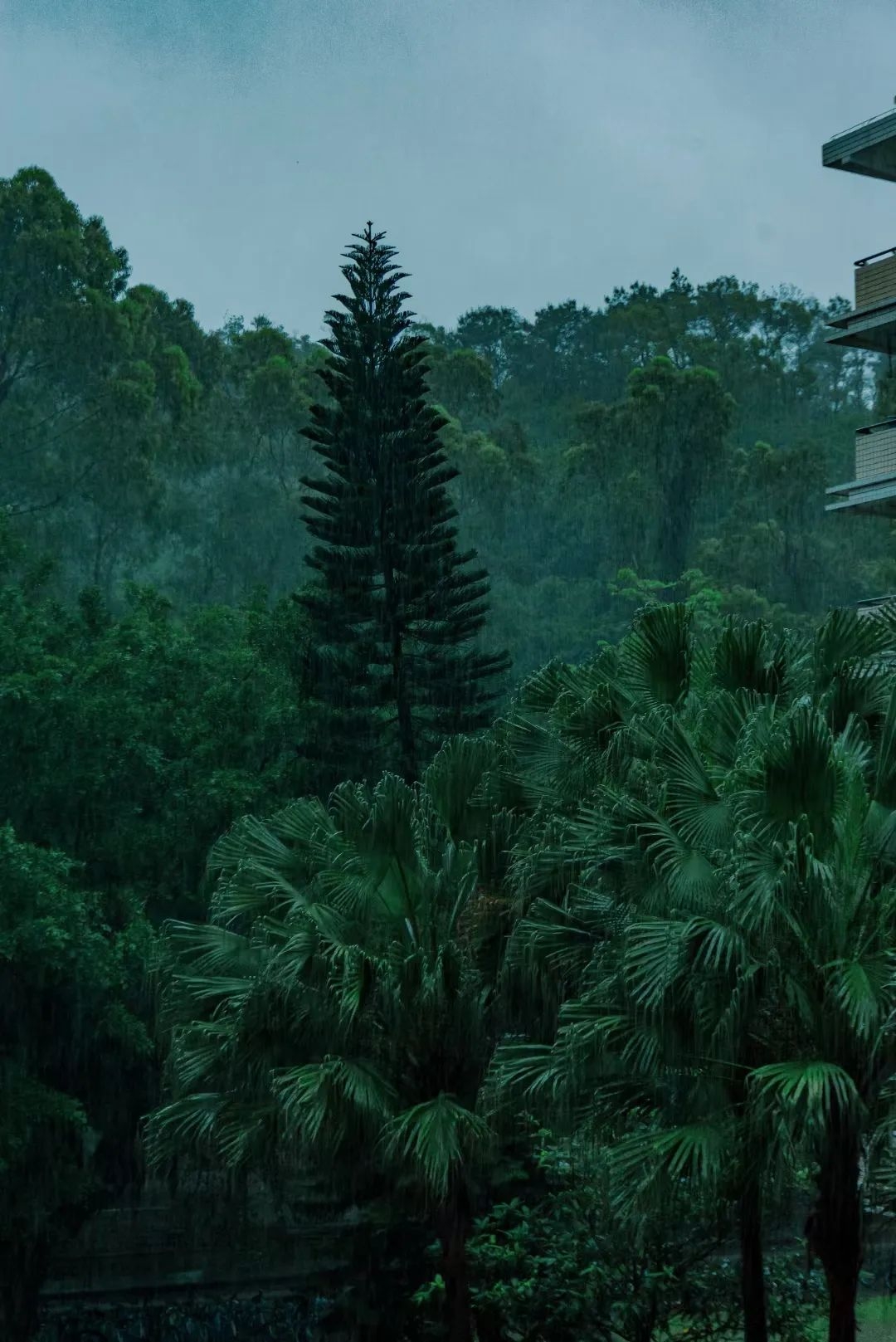 image-20230120133557-16