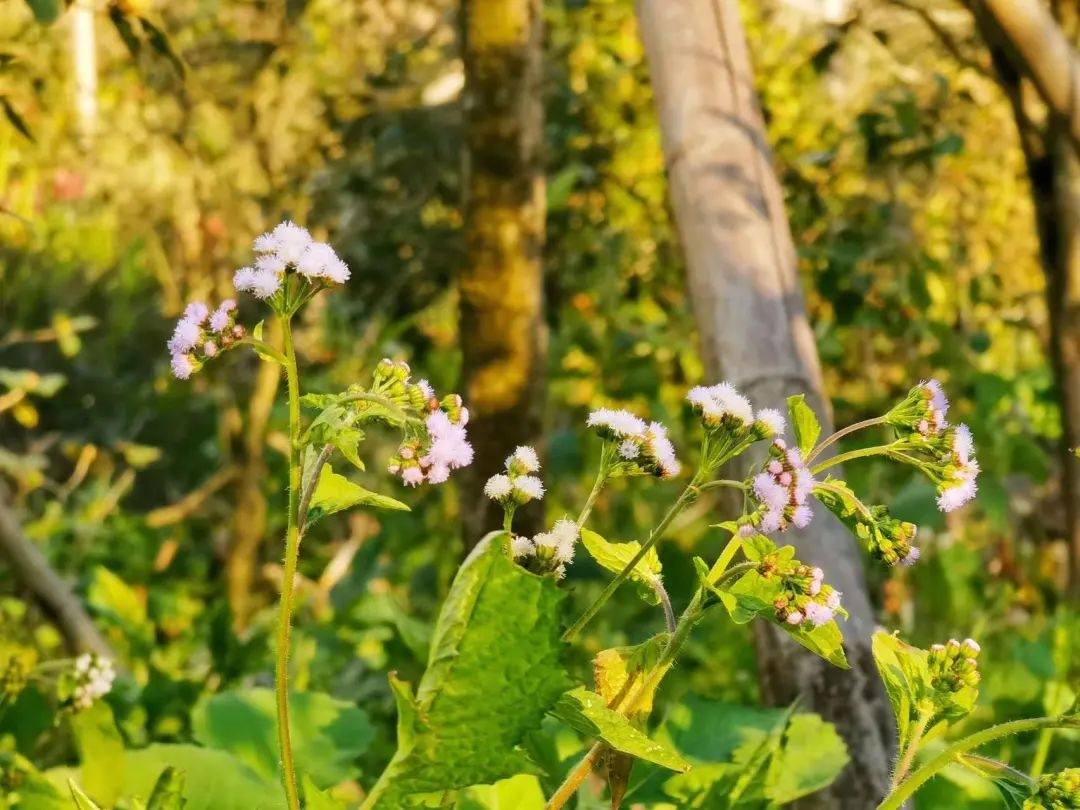 image-20230120173106-2