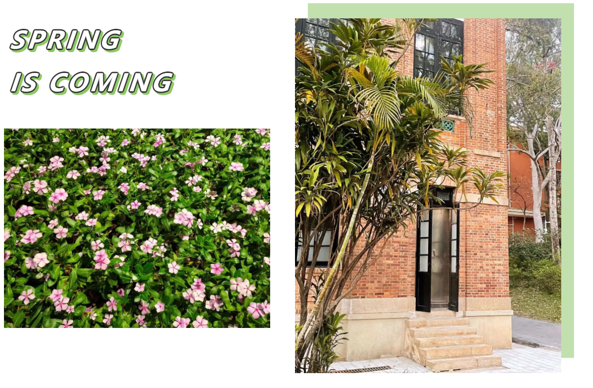 image-20230120173225-3