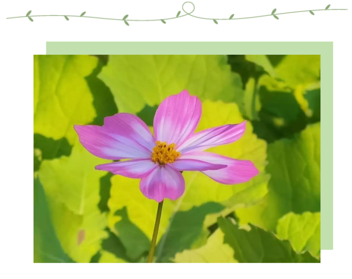 image-20230120173421-4